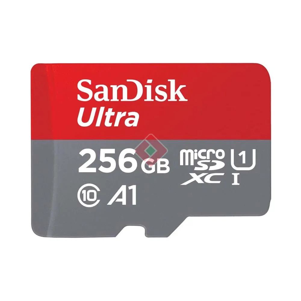 SANDISK 256GB