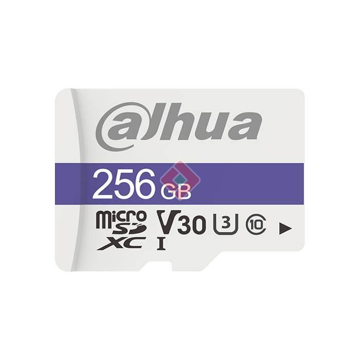 Dahua 256GB