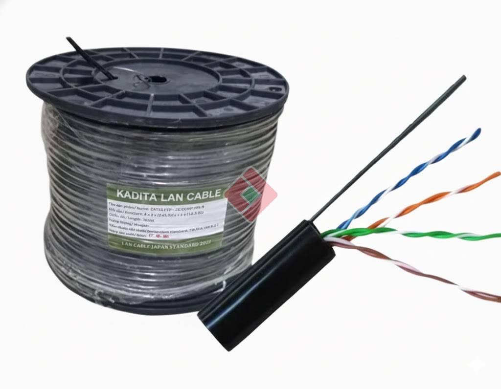 Cat5 Kadita Liền nguồn